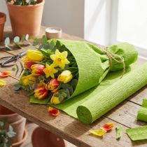 Artikel Floristen-Krepppapier grasgrün 50 x 250 cm für Dekoration und Bastelarbeiten