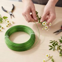 Artikel Aluminiumdraht 2mm Ø Maigrün 60m – Biegsamer Schmuck- und Dekodraht