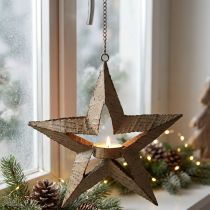 Artikel Teelichthalter Metall Weihnachtsstern Beige Braun 22,5 cm