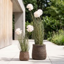 Artikel Künstliche Kugelblume Allium im Topf 54cm Weiss