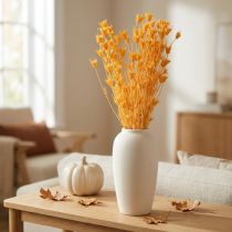 Artikel Nigella Trockenblumen-Arrangement, Orange, 70 cm, 50 g – Dekoration für Innenräume