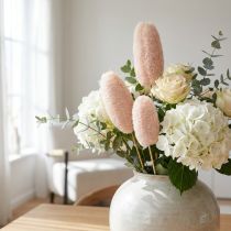Artikel Luffa gebleicht am Stiel 6–8 cm Ø 45–60 cm 25 Stück
