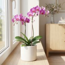 Artikel Blumenstab Kunststoff Rankhilfe Orchideen Twister Pink 38cm