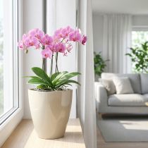Artikel Orchideentopf Kunststoff Sand konisch-eckig Ø12,5cm 1 Stück