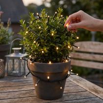 Artikel LED Lichterkette Schwarz mit 144 Warmweiss-LEDs, 1.2m für Innen und Aussen
