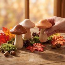 Artikel Deko-Pilze aus Holz in Braun, Beige und Orange – Ø7,5cm, H10cm, 3er-Set
