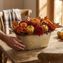 Artikel Metall-Pflanzschale Herbstmotiv Gold 38x15cm für Innen- und Aussenbereich