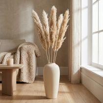 Artikel Pampasgras getrocknet gebleicht 70-75cm – 6 Stück