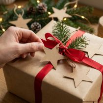 Artikel Geschenkanhänger Papier Stern Braun Ø5,5cm 100 Stück Weihnachtsdekoration