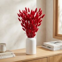 Artikel Lagurus Trockenblumen Hasenschwanzgras Rot 60–65cm 50g Dekoration
