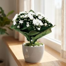 Artikel Künstliche Kalanchoe Weiss 24cm aus Kunststoff und Metall