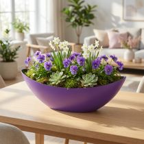 Artikel Pflanzschale Kunststoff Violett Oval 38,5×12,5×13cm