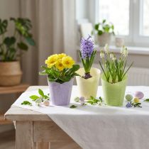 Artikel Pflanztopf aus gewebtem Papier Ø7cm H13cm in Grün, Gelb und Lila – Set mit 12 Stück
