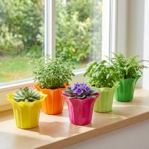 Artikel Übertöpfe aus Kunststoff Ø10,5 cm in fünf Farben, 10er Set