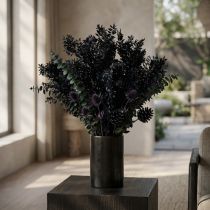 Artikel Getrockneter Ruscus Schwarz - Dekozweige – 2. Wahl – 65-75 cm, 1 kg