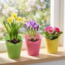 Artikel Gewebte Übertöpfe aus Papier – 12er Set, Ø 7 cm, Höhe 13 cm, Pink, Gelb, Grün – Innenbereich