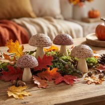 Artikel Dekopilze aus Holz Braun 5x6cm 8er-Set – Herbstdeko und Tischdekoration