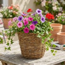 Artikel Pflanzkorb Rebe Ø25cm H22,5cm Natur mit Folie für Innen und Aussen