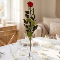 Artikel Infinity Rose konserviert Rot mit Blättern ca. 54 cm