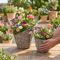 Artikel Blumentopf Set Weide Natur Ø12,5cm und Ø20cm mit Folie, rustikaler Pflanzkorb 2er-Set für Innen- und Aussendekoration