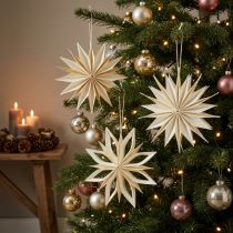 Artikel Papiersterne Weihnachtsdekoration Weiss Gold Ø 15 cm 6er Set