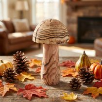 Artikel Holzpilz aus Paulownia-Holz – Deko Pilz Ø15cm H28cm für Innenbereiche