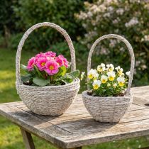 Artikel Pflanzkorb Set 2-teilig aus Stroh Natur Weiss Ø 23/28 cm für Innenbereich