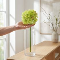 Artikel Künstlicher Allium mit grüner Blüte Ø18cm, 90cm Länge