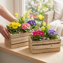 Artikel Pflanzkästen Holz Natur mit Rinde und Griffen, rechteckig, 29cm und 23cm, Set 2