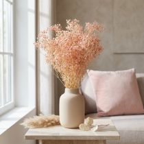 Artikel Konserviertes Schleierkraut, Trockenblumen 65-70cm, Orange-Peach, 100g