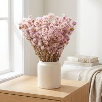 Artikel Trockenblumen Bund Kamille Pink 65 cm 50 g – Deko für Innenbereiche und kreative Projekte