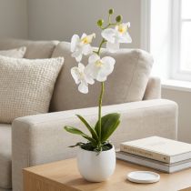 Artikel Weisse Kunstorchidee Phalaenopsis im Keramiktopf H33 cm