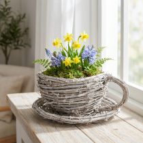 Artikel Teetasse aus geflochtener Weide mit Untertasse 13cm für Indoor Dekoration Weiss-Grau