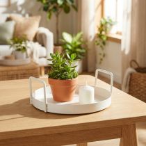 Artikel Pflanzschale aus Metall, rund, Weiss, 18 cm, für Haus und Garten