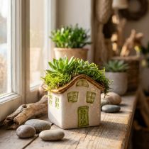 Artikel Keramik-Haus Blumentopf 11 cm Naturweiss mit Grünen Akzenten für Innenbereich