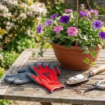 Artikel Kixx Nylon Schutzhandschuhe Grösse 8 Rot-Grau für Gartenarbeiten