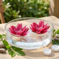 Artikel Künstliche Seerosen Fuchsia 15 cm 2er-Set Tischdekoration