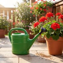 Artikel Gießkanne Kunststoff 5L Maigrün mit abnehmbarer Brause für Garten und Balkon