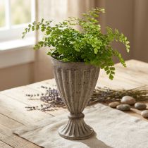 Artikel Deko Pokal Übertopf Antik Look Grau Braun Ø13cm H19cm