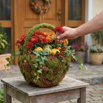 Artikel Rustikaler Pflanzkorb aus Moos und Fichtenzapfen mit Henkel Ø32cm H42cm für Garten- und Wohnbereich