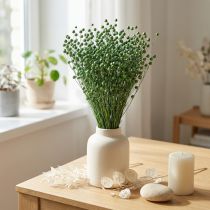 Artikel Getrockneter Flachs Grün 50–55 cm Trockengras für Dekoration und DIY