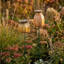 Artikel Gartenstecker Mohnkapsel Set 2 Stück aus Keramik Braun Höhe 60 cm