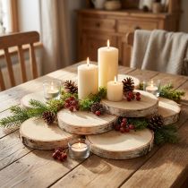 Artikel Holzscheiben mit Rinde Birkenscheibe Natur Ø9-10cm 7 St