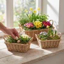 Artikel Pflanzkörbe rechteckig Weide natur 39/33/27cm 3er-Set mit Folie für innen und aussen