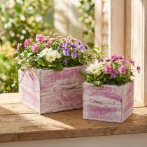Artikel Pflanzschublade 2er-Set Holz Rosa Weiss mit Griff 12 cm und 15 cm für Dekoration und Bepflanzung