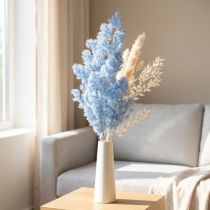 Artikel Hellblauer Federspargel Asparagus Trockenblume 55-70cm für Innenbereiche