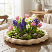 Artikel Dekoschale aus Paulownia-Holz Ø36cm Natur unbehandelt