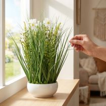 Artikel Deko Gras mit künstlichen Cosmeablüten in weisser Schale H45cm