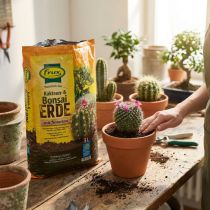 Artikel FRUX Kakteenerde und Bonsaierde mit Quarzsand und Bims 5L für Kakteen, Sukkulenten und Bonsais