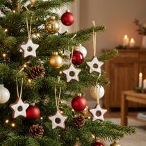 Artikel Christbaumschmuck Zimtsterne Kunststoff 5cm Weiss-Braun 24er Set Weihnachtsdeko
